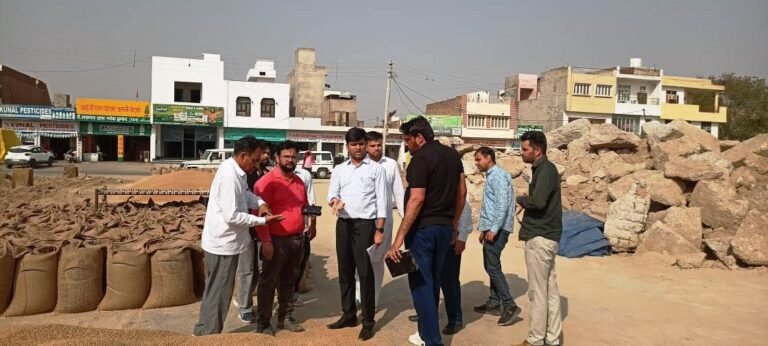 एसडीएम ने अनाज मंडी का लिया जायजा