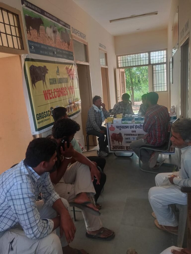 गांव पन्नीवाला मोटा में लगा पशु जागृति कैंम्प