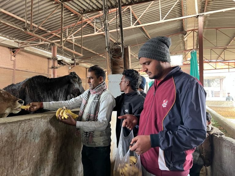 समाजसेवी कार्यों से मनाया सांसद दीपेंद्र हुड्डा का जन्मदिन