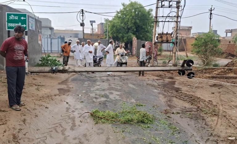 पूर्व सरपंच रीना बीरट की कार पर गिरी पेड़ की शाखा