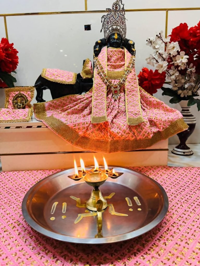 सावन मास की अमावस्या पर प्राचीन श्री शनि धाम में शनि जन्मोत्सव  समारोह 12 अगस्त को
